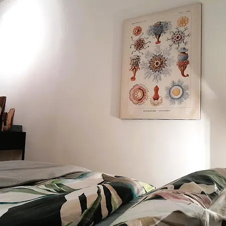 Spacious Home in Old-West - Leutsch Apartment
