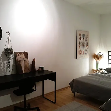 Spacious In Old-west - Leutsch Apartman Lipcse