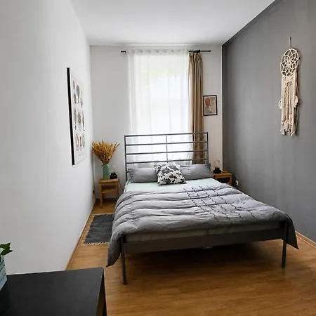 Apartment Spacious Home in Old-West - Leutsch *
