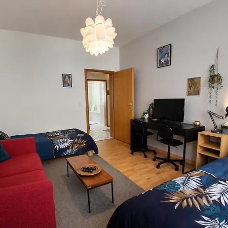 Apartment Spacious Home in Old-West - Leutsch